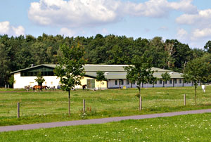 Reiterhof in Bernsdorf